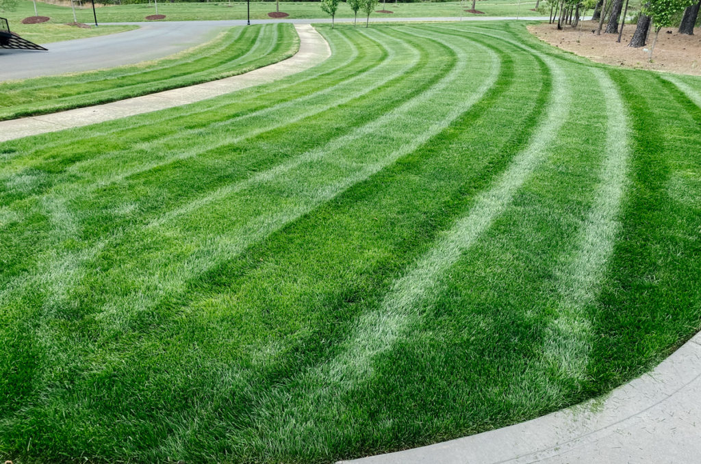EV-Lawn-Maintenace-Charlotte-Concord-Lawn-Maintenance-Company-Residential-Homes-Commercial-LawnCare-LawnMaintenace-Landscaping