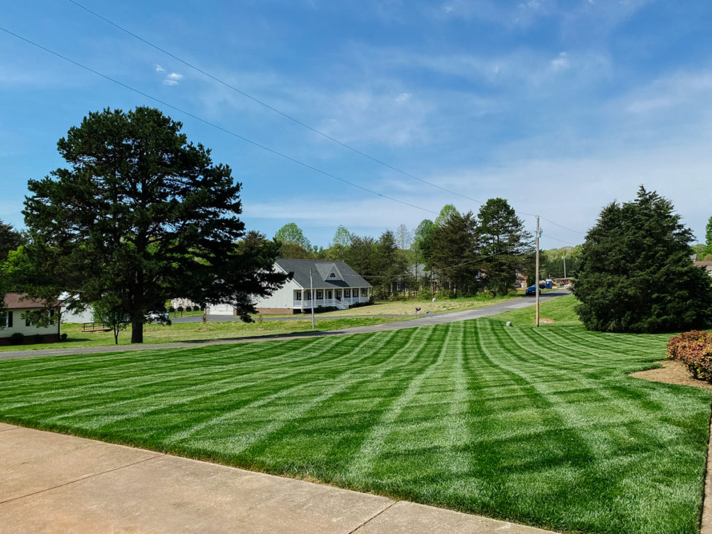 EV-Lawn-Maintenance-Charlotte-NC-Residential-Commercial-Lawncare-lawnmaintenance-landscaping-company-grass-cuts