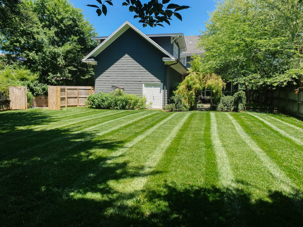 EV-lawn-maintenance-lawncare-service-charlotte-landscaping-company-residential-homes