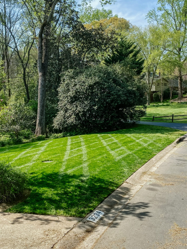 lawn-maintenance-design-charlotte