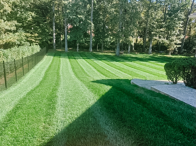 ev-lawn-maintenance-residential-lawn-service