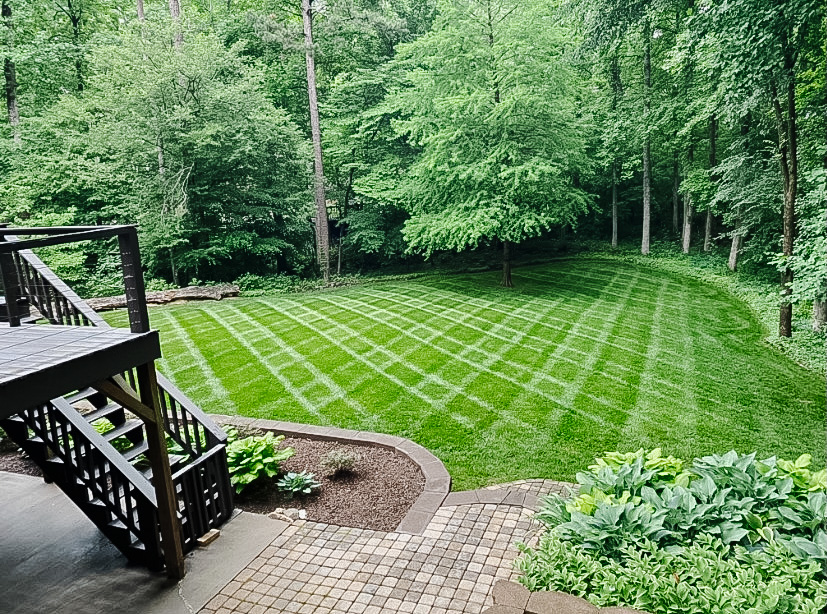 ev-lawn-maintenance-backyard-charlotte-lawn-landscaping-lawn-maintenance