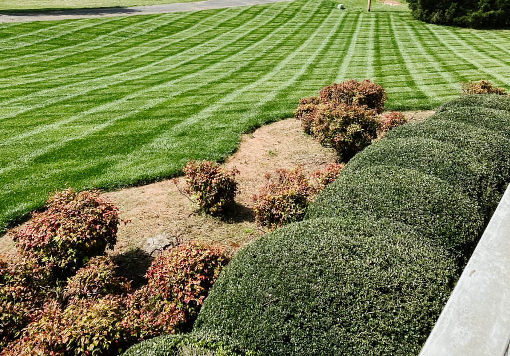 ev-lawn-maintenance-lawn-design-charlotte-lawn-service